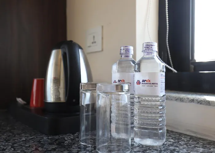 Hotel Apex Business - Tribhuvan International Airport, Kathmandu